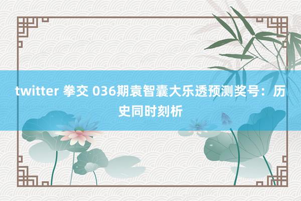 twitter 拳交 036期袁智囊大乐透预测奖号：历史同时刻析