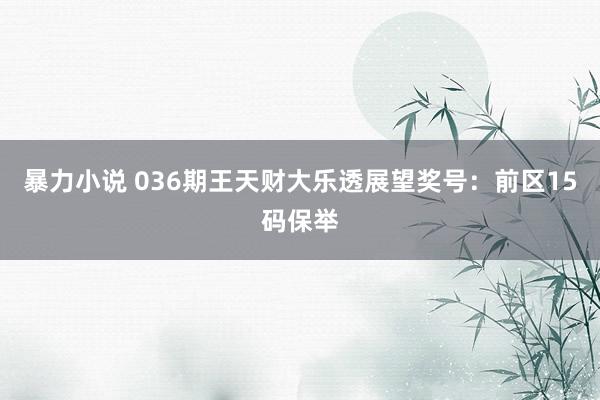 暴力小说 036期王天财大乐透展望奖号：前区15码保举