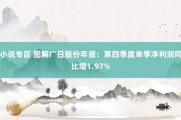 小说专区 图解广日股份年报：第四季度单季净利润同比增1.97%