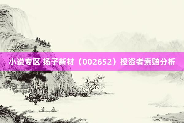小说专区 扬子新材（002652）投资者索赔分析