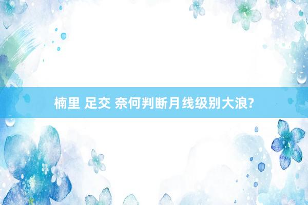 楠里 足交 奈何判断月线级别大浪?