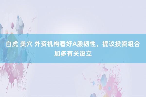 白虎 美穴 外资机构看好A股韧性，提议投资组合加多有关设立