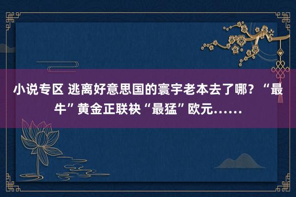 小说专区 逃离好意思国的寰宇老本去了哪？“最牛”黄金正联袂“最猛”欧元……