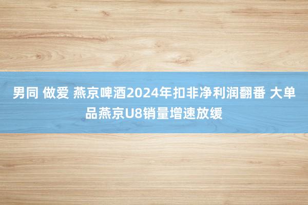 男同 做爱 燕京啤酒2024年扣非净利润翻番 大单品燕京U8销量增速放缓