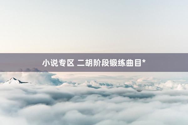 小说专区 二胡阶段锻练曲目*