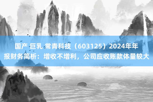 国产 巨乳 常青科技（603125）2024年年报财务简析：增收不增利，公司应收账款体量较大