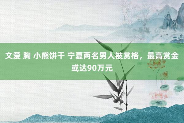 文爱 胸 小熊饼干 宁夏两名男人被赏格，最高赏金或达90万元