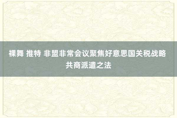 裸舞 推特 非盟非常会议聚焦好意思国关税战略 共商派遣之法