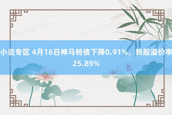 小说专区 4月16日神马转债下降0.91%，转股溢价率25.89%