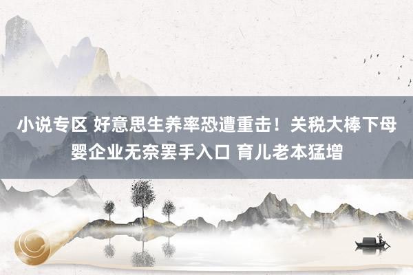 小说专区 好意思生养率恐遭重击！关税大棒下母婴企业无奈罢手入口 育儿老本猛增