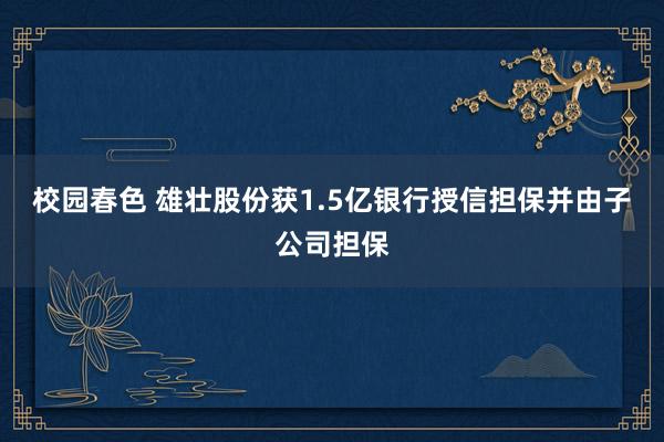 校园春色 雄壮股份获1.5亿银行授信担保并由子公司担保