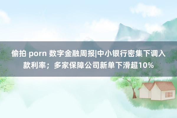偷拍 porn 数字金融周报|中小银行密集下调入款利率；多家保障公司新单下滑超10%