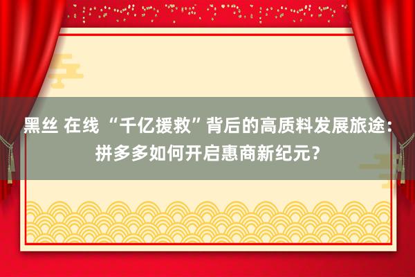 黑丝 在线 “千亿援救”背后的高质料发展旅途：拼多多如何开启惠商新纪元？