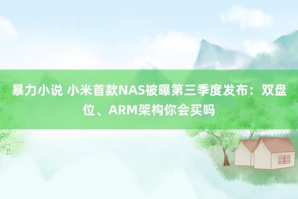 暴力小说 小米首款NAS被曝第三季度发布：双盘位、ARM架构你会买吗