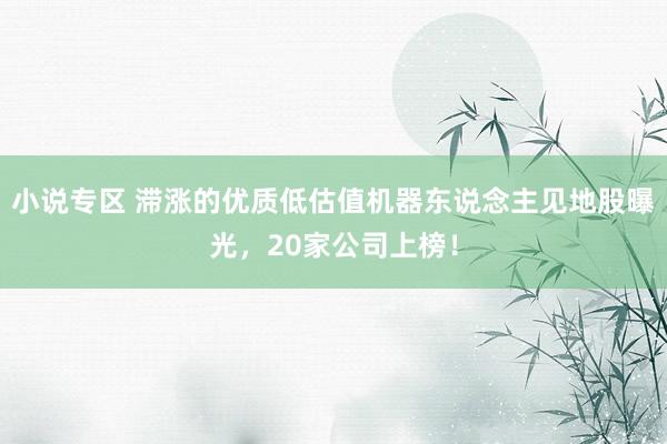 小说专区 滞涨的优质低估值机器东说念主见地股曝光，20家公司上榜！