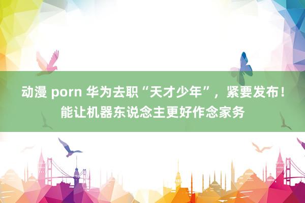 动漫 porn 华为去职“天才少年”，紧要发布！能让机器东说念主更好作念家务