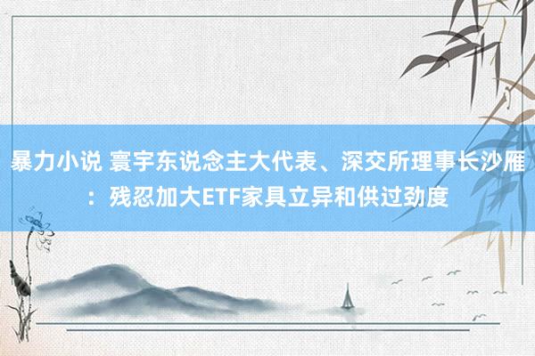 暴力小说 寰宇东说念主大代表、深交所理事长沙雁：残忍加大ETF家具立异和供过劲度