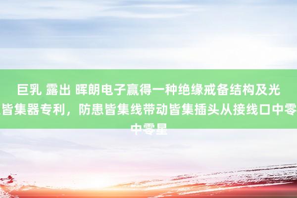 巨乳 露出 晖朗电子赢得一种绝缘戒备结构及光伏皆集器专利，防患皆集线带动皆集插头从接线口中零星