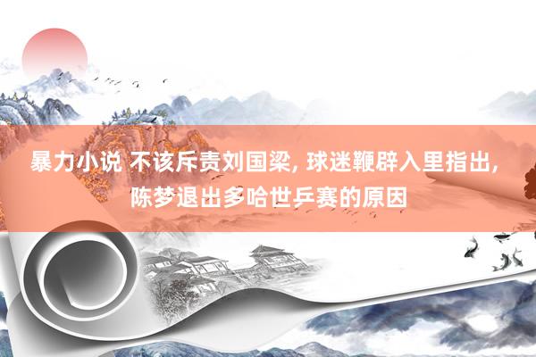 暴力小说 不该斥责刘国梁， 球迷鞭辟入里指出， 陈梦退出多哈世乒赛的原因