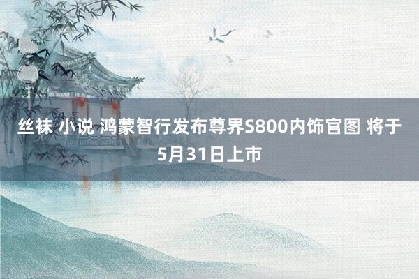 丝袜 小说 鸿蒙智行发布尊界S800内饰官图 将于5月31日上市