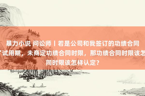 暴力小说 问讼师丨若是公司和我签订的功绩合同只商定了试用期，未商定功绩合同时限，那功绩合同时限该怎样认定？
