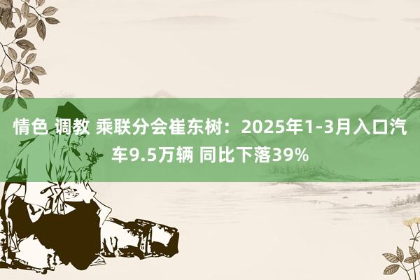 情色 调教 乘联分会崔东树：2025年1-3月入口汽车9.5万辆 同比下落39%