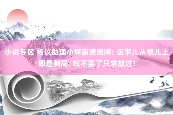 小说专区 杨议助理小辉崩溃摊牌: 这事儿从根儿上即是骗局， 钱不要了只求放过!